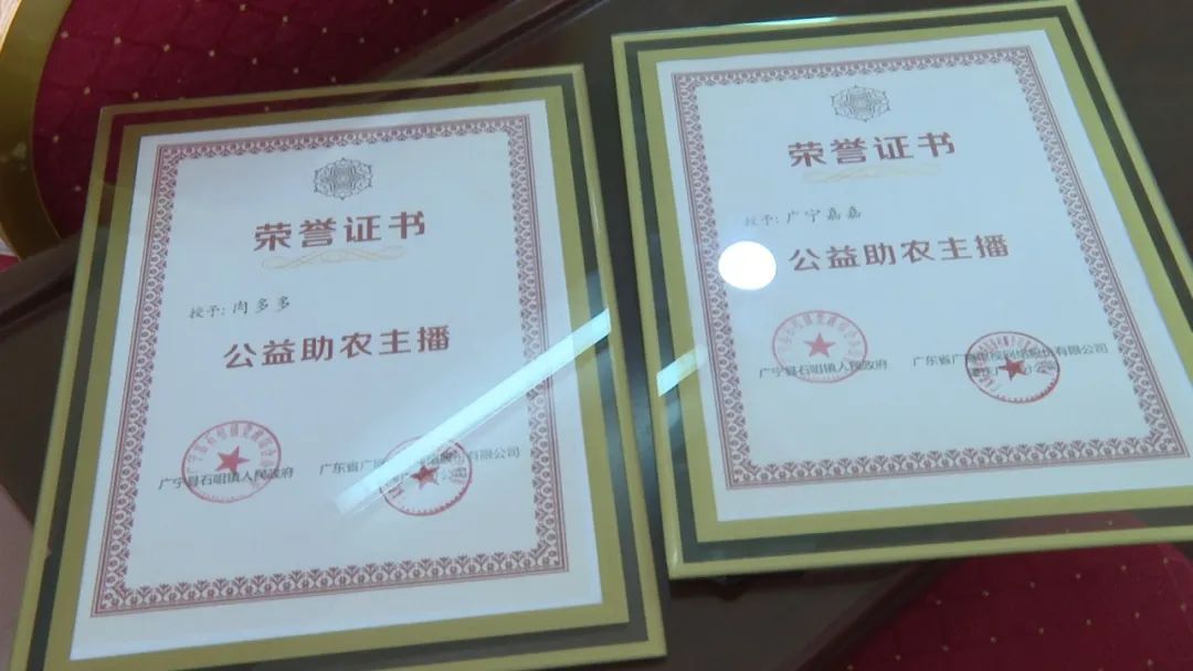 廣東廣電網(wǎng)絡：智慧廣電網(wǎng)絡平臺，開啟廣寧農產品銷售新格局